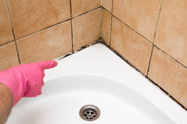 Best Mold Testing and Inspection Services in Washington, GA